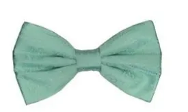 Aqua Paisley Bow Ties with Matching Pocket Squares