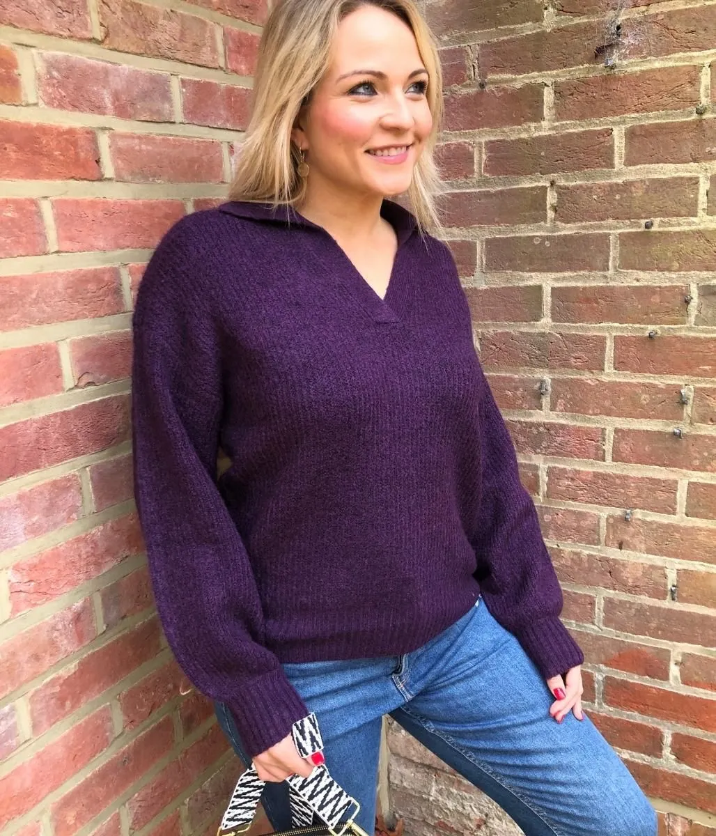 Aubergine Notch Neck Collared Jumper