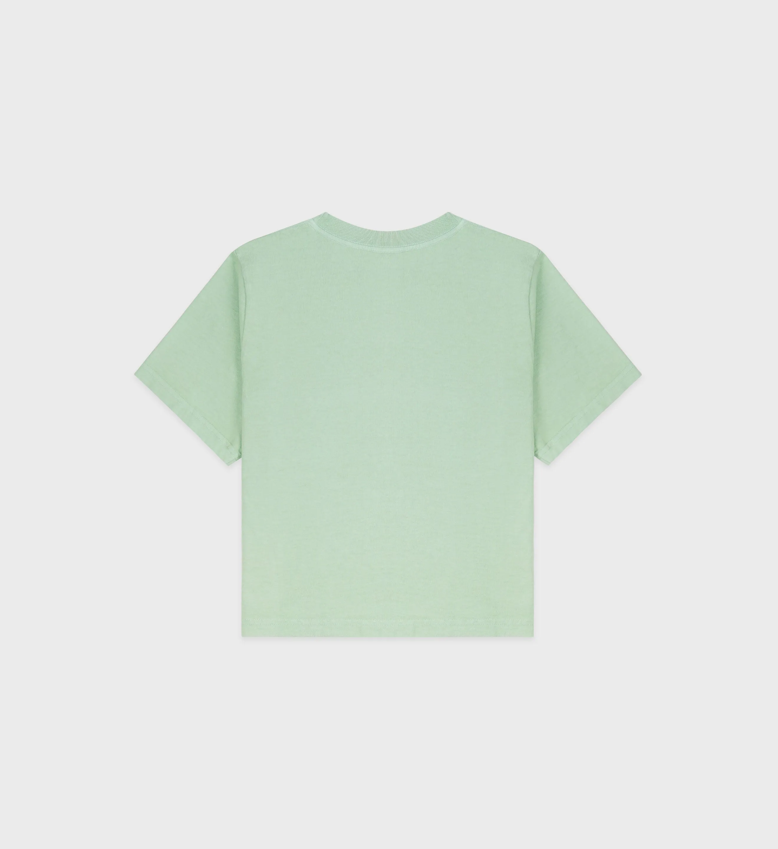 Wellness Ivy Cropped T-Shirt - Thyme/Navy